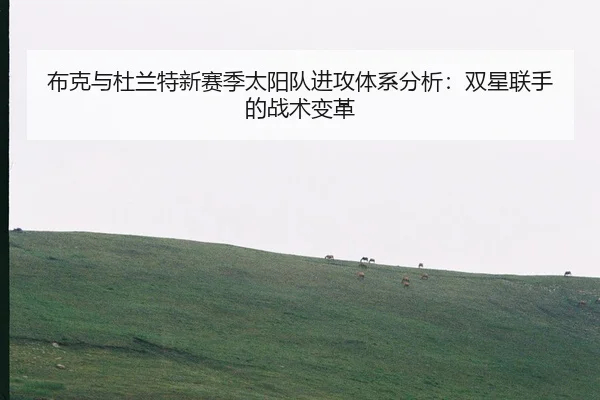 布克与杜兰特新赛季太阳队进攻体系分析：双星联手的战术变革